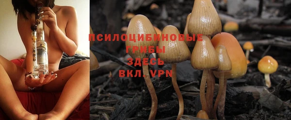 хмурый Абаза