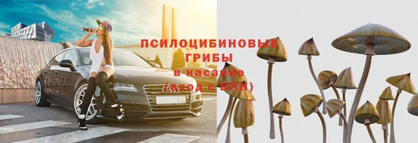 хмурый Абаза