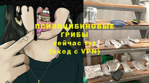 хмурый Абаза