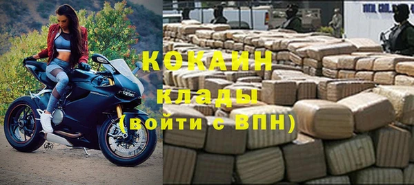 хмурый Абаза