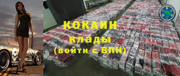 хмурый Абаза