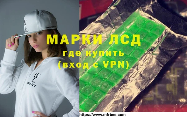 хмурый Абаза