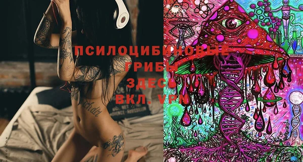 хмурый Абаза