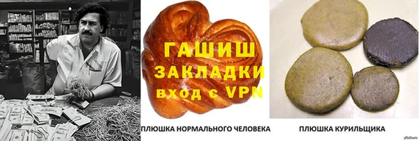 хмурый Абаза
