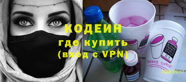 хмурый Абаза