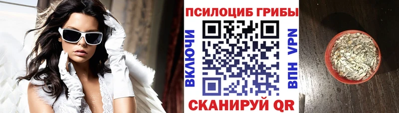 Псилоцибиновые грибы Magic Shrooms  цена   Абаза 